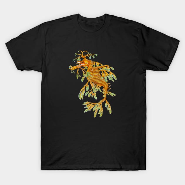 Leafy Seadragon T-Shirt by Tim Jeffs Art